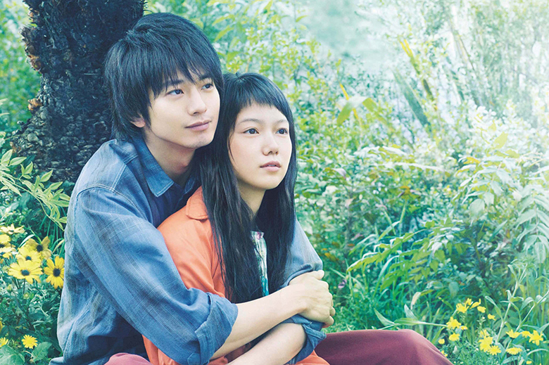 宮崎あおいと向井理の主演で映画化された「きいろいゾウ」 