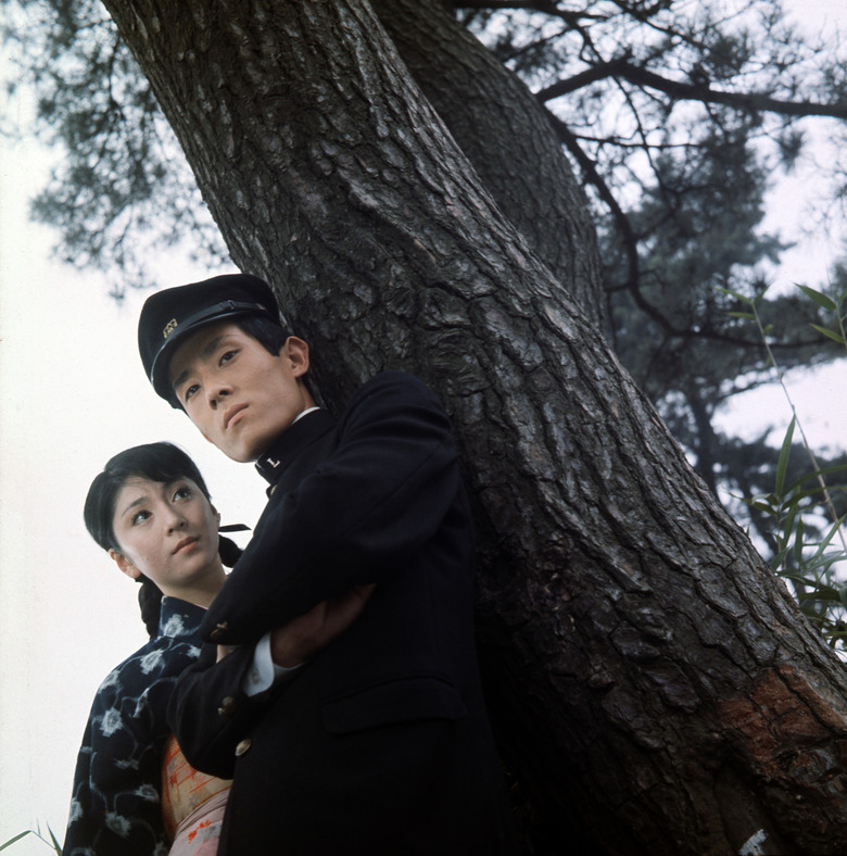 舟木一夫と和泉雅子が純愛を貫いた若者を熱演