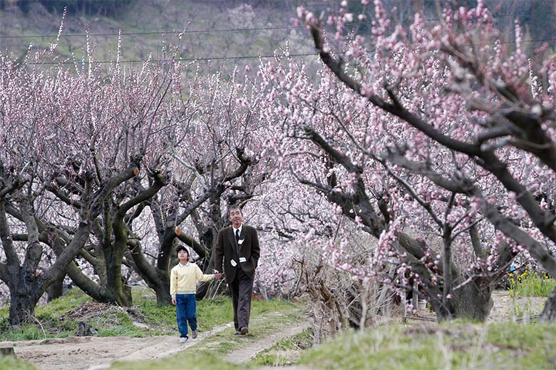 寺尾聰と深津絵里の共演で、作家・小川洋子による名作小説を映画化