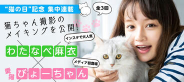 猫ちゃん撮影に密着！わたなべ麻衣×びょーちゃん短期集中連載