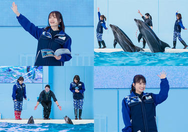 <strong>伊藤美来</strong>、<strong>逢田梨香子</strong>、<strong>和氣あず未</strong>、<strong>Lynn</strong>がペンギンやイルカとの貴重な体験に感動!