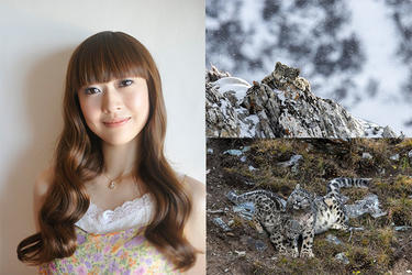 <strong>能登麻美子</strong>、<strong>新田恵海</strong>、<strong>小倉唯</strong>らが過酷な環境下で生きる野生動物の姿を伝える